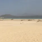 View , House , By Mahbovillas Corralejo