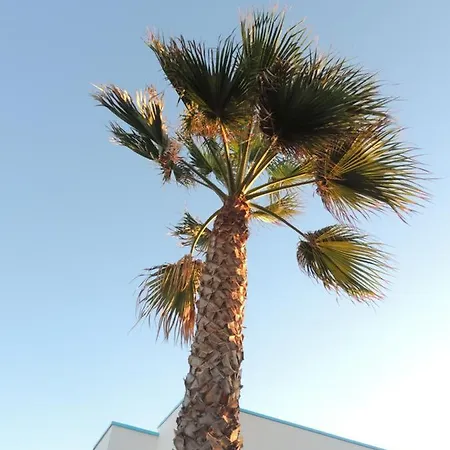 View , House , By Mahbovillas