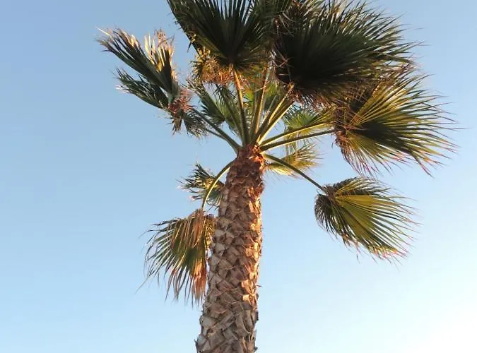 View , House , By Mahbovillas